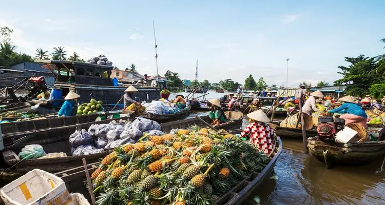 Take a Boat Ride in Mekong Delta