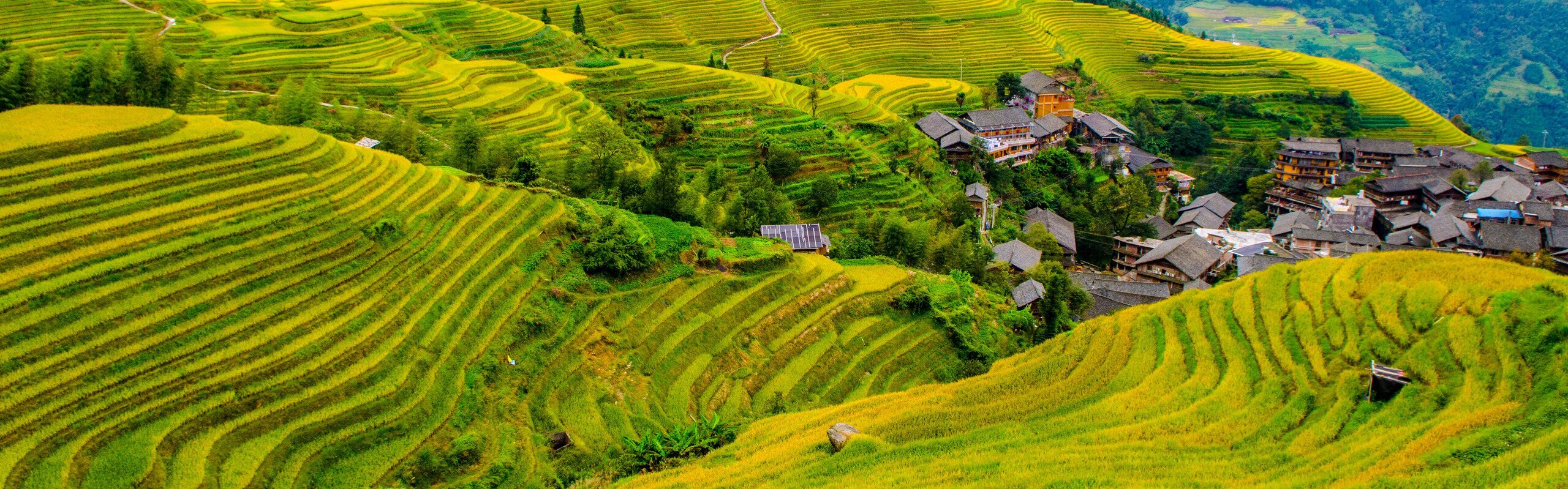 Longji Rice Terraces in Longsheng