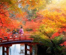 Japan Fall Foliage