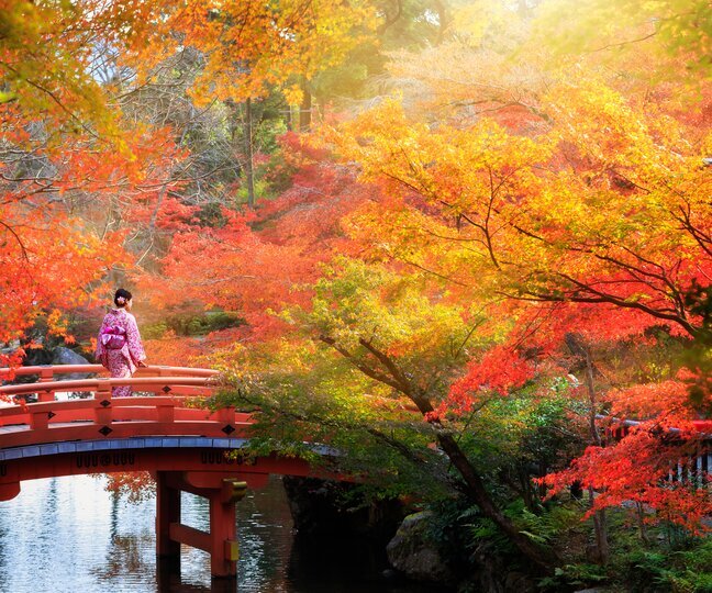 Japan Fall Foliage