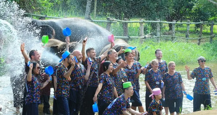 Bathe the elephant at Kanta Elephant Sanctuary