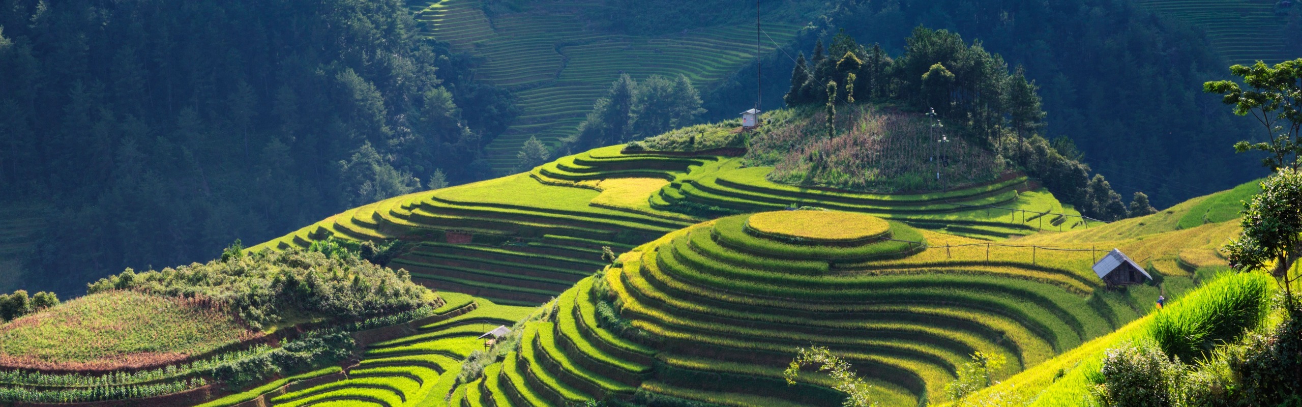 Vietnam Weather in September 2025: Travel Smart in Rain