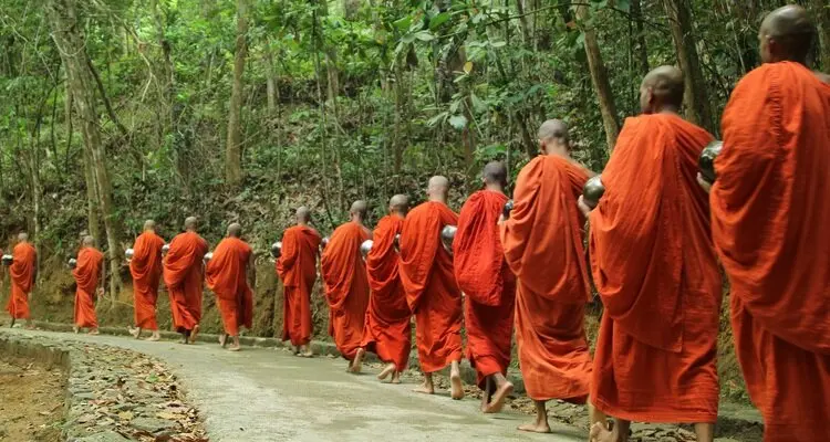 Witness monks descend for alms-giving at Doi Suthep