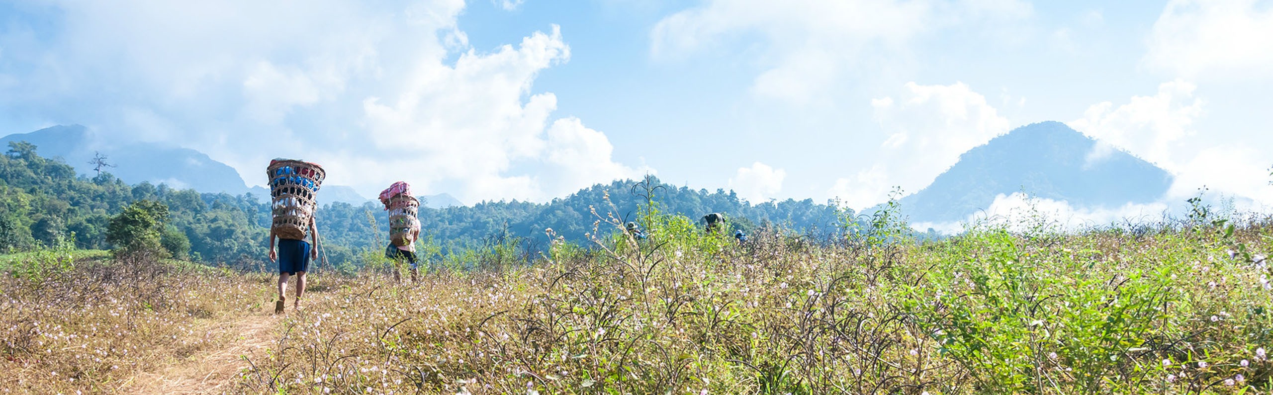 Best Time to Visit Chiang Mai (and the Worst Time) 2025