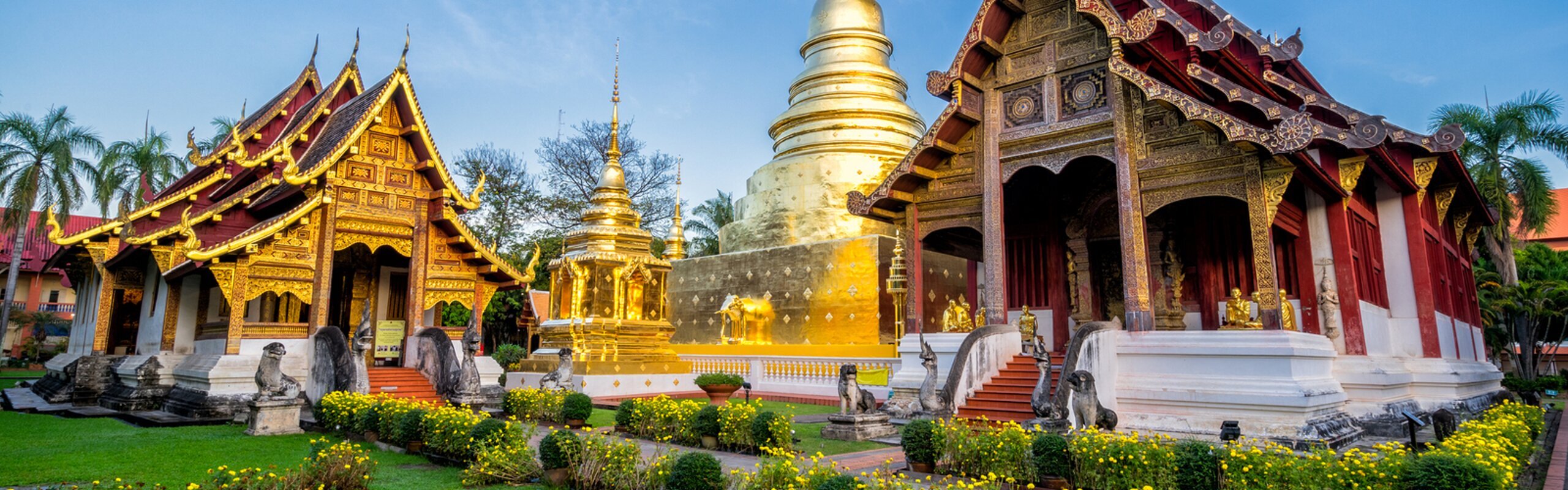 Chiang Mai in February: Weather & Flower Festival 2026