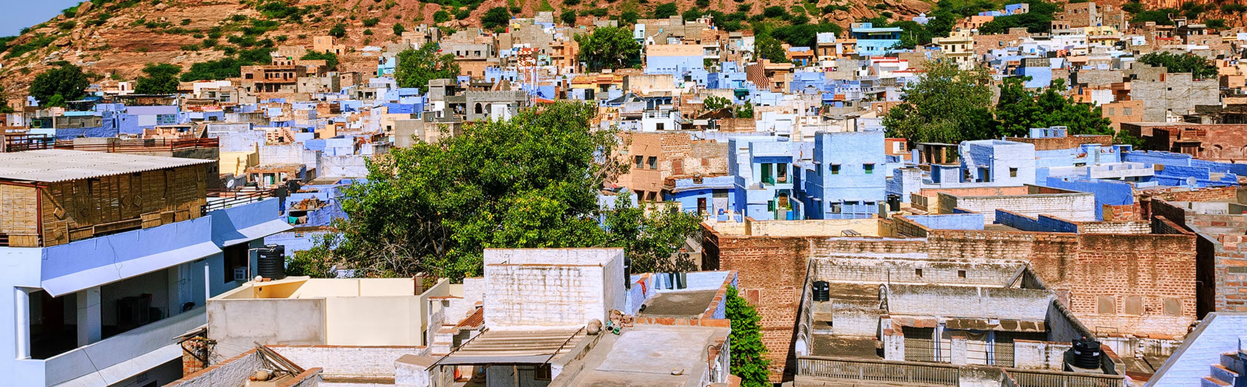 Weather in India in March 2025 & Best Places for First Visits
