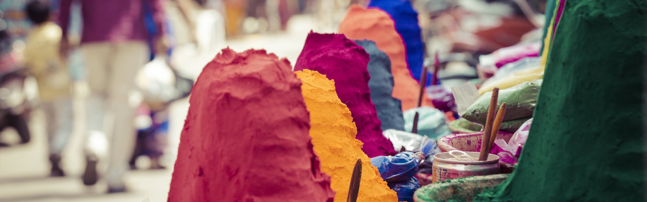10-Day India Holi Festival Tour 2025