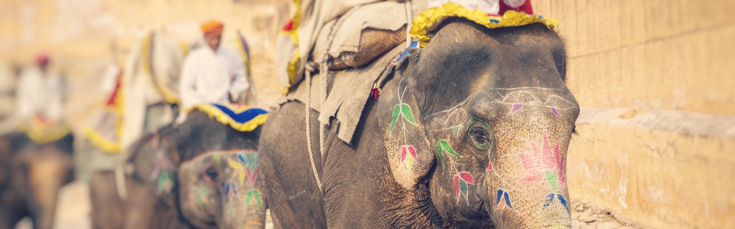 14-Day India Tour: Ideal for Western Families