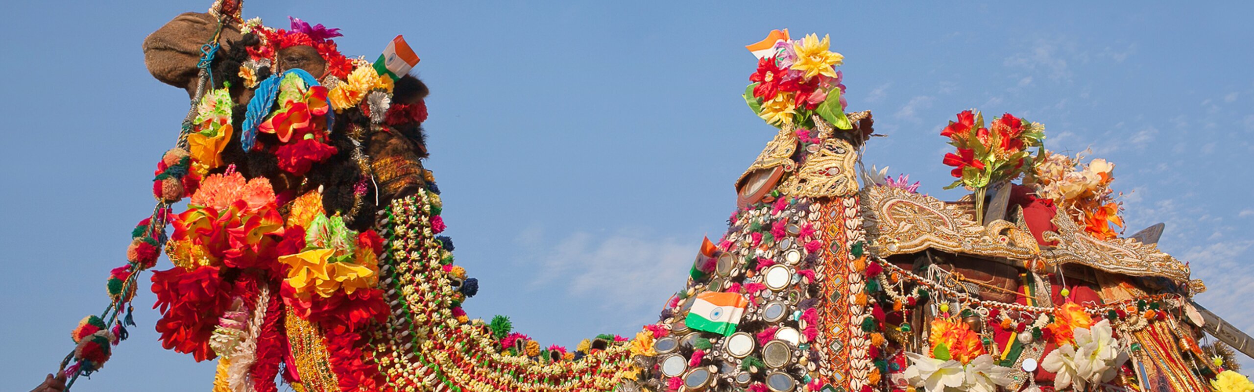 10-Day Royal Rajasthan and Camel Festival Tour 