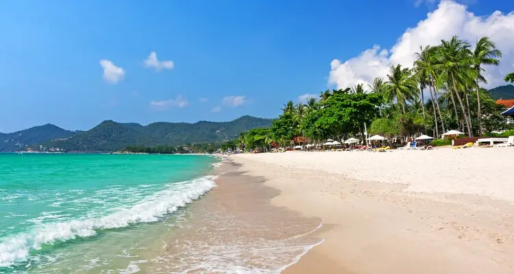 The Wonderful Beach of Koh Samui