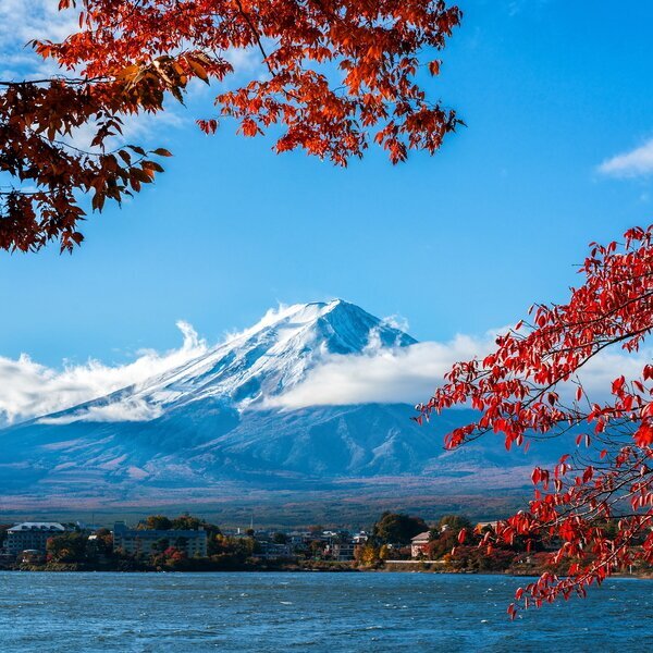 Fuji Mountain