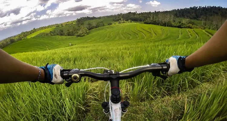 Cycling in the Manggis village