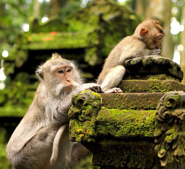 Bali Weather in December 2025: Best Places to Go & Travel Tips