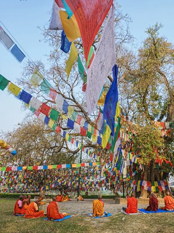monks sitting under the tree