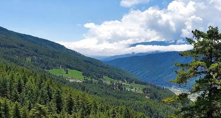 the view of the green valley