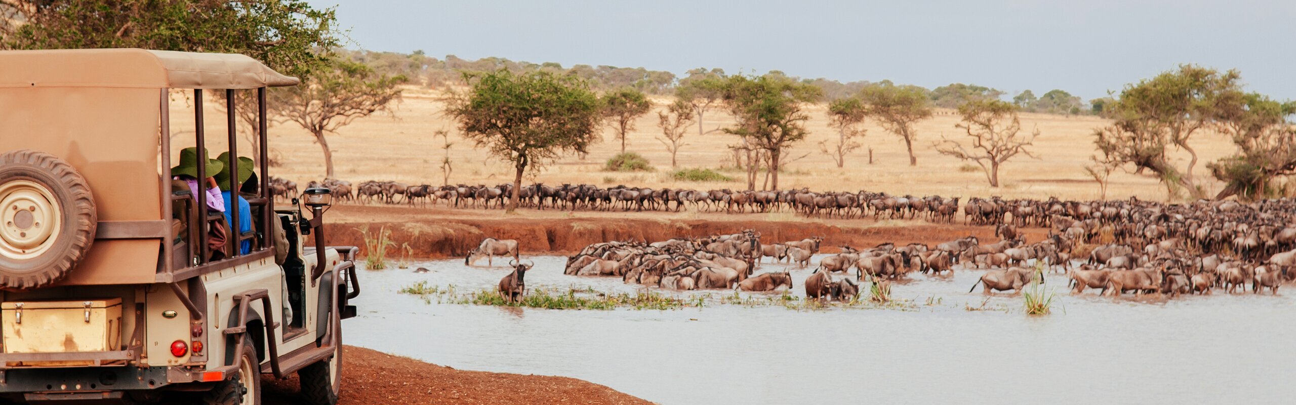 12-Day Kenya and Tanzania Best Safari Tour 