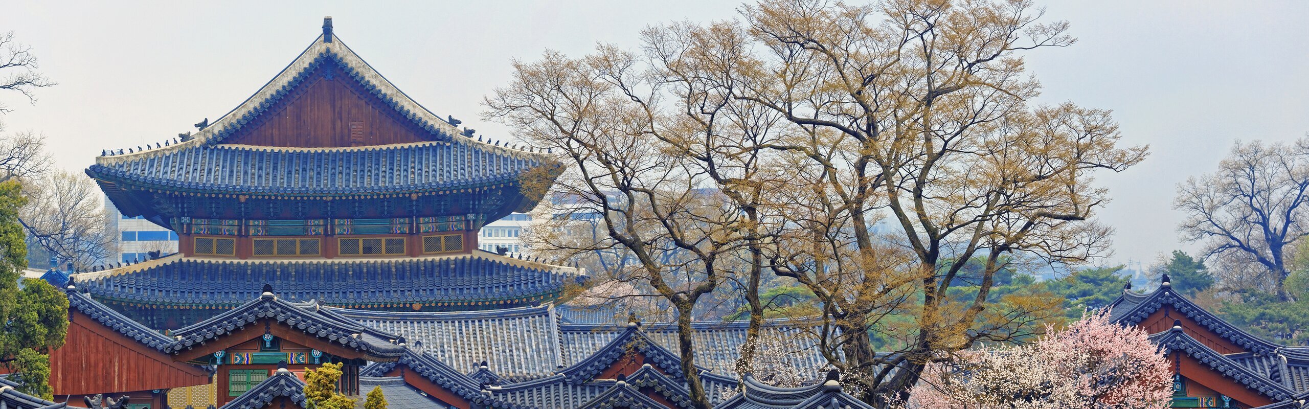 How to Plan Your Trip to South Korea 2025 (6 Easy Steps)