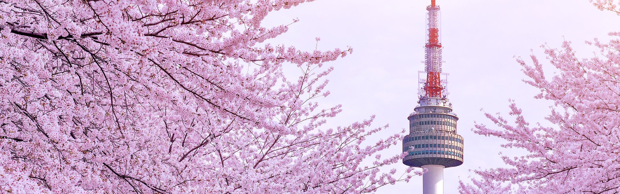 Best (and Worst) Times to Visit South Korea in 2025