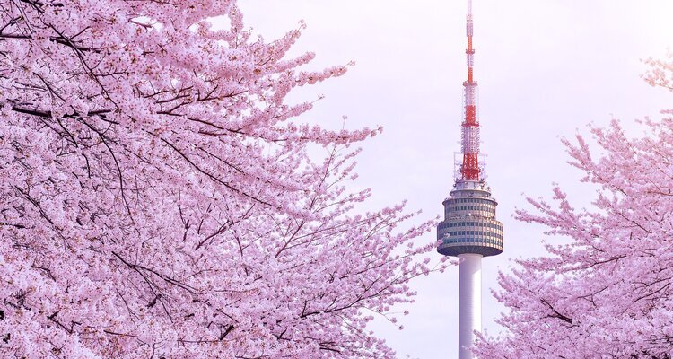 South Korea Weather in March 2026: Travel Tips for First-Timers South Korea Weather in March 2026: Travel Tips for First-Timers