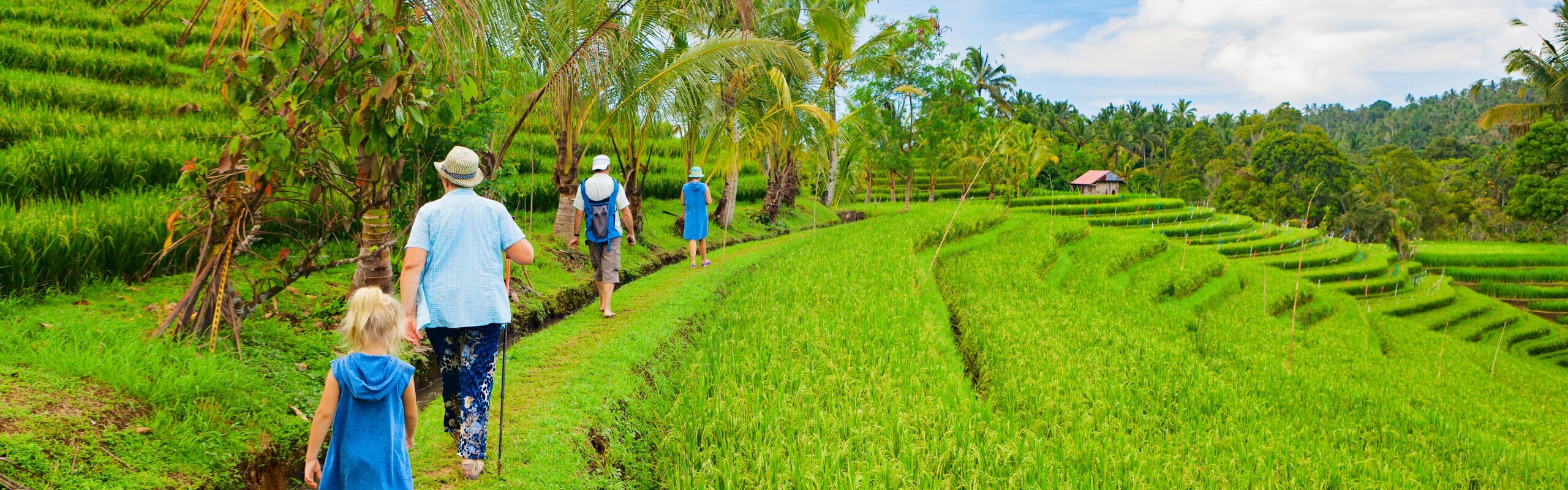 7-Day Private Bali Natural & Cultural Immersion