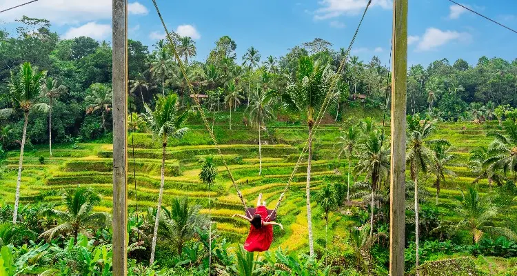 Swing to the heaven in Bali