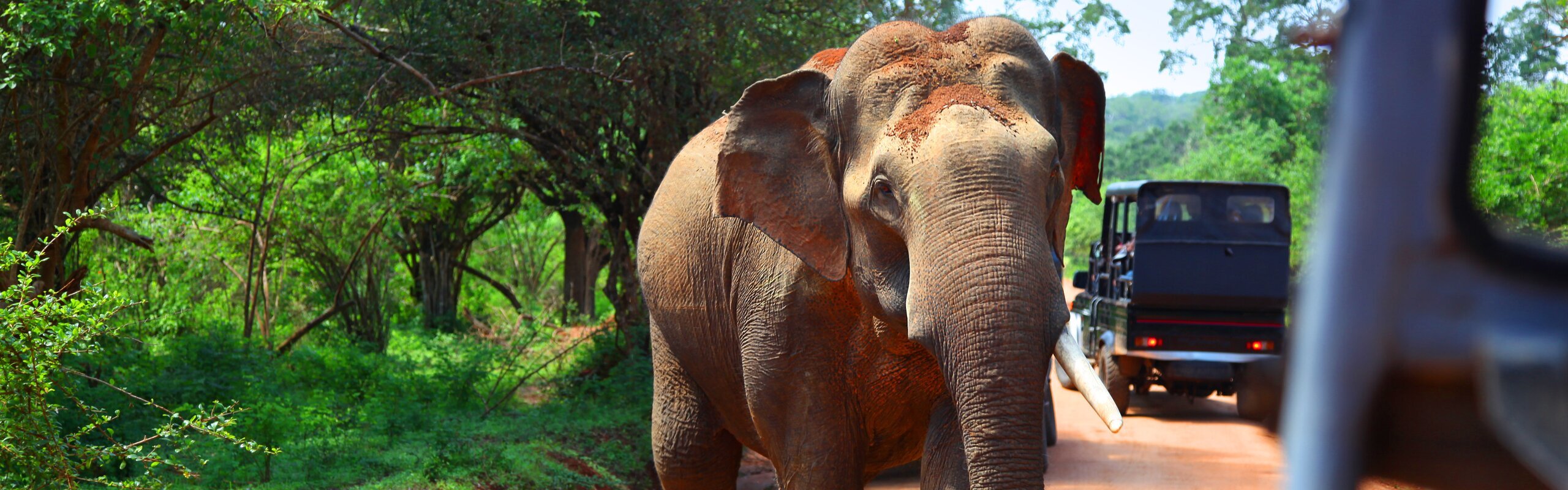 Sri Lanka in March: Weather and Travel