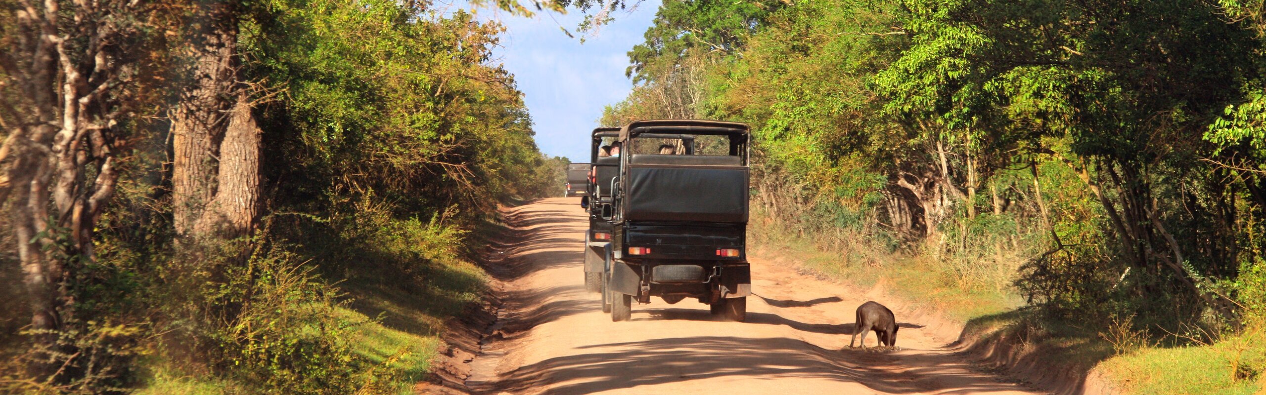 12-Day Sri Lanka Wildlife Tour