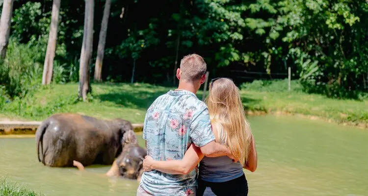 Khao Sok National Park