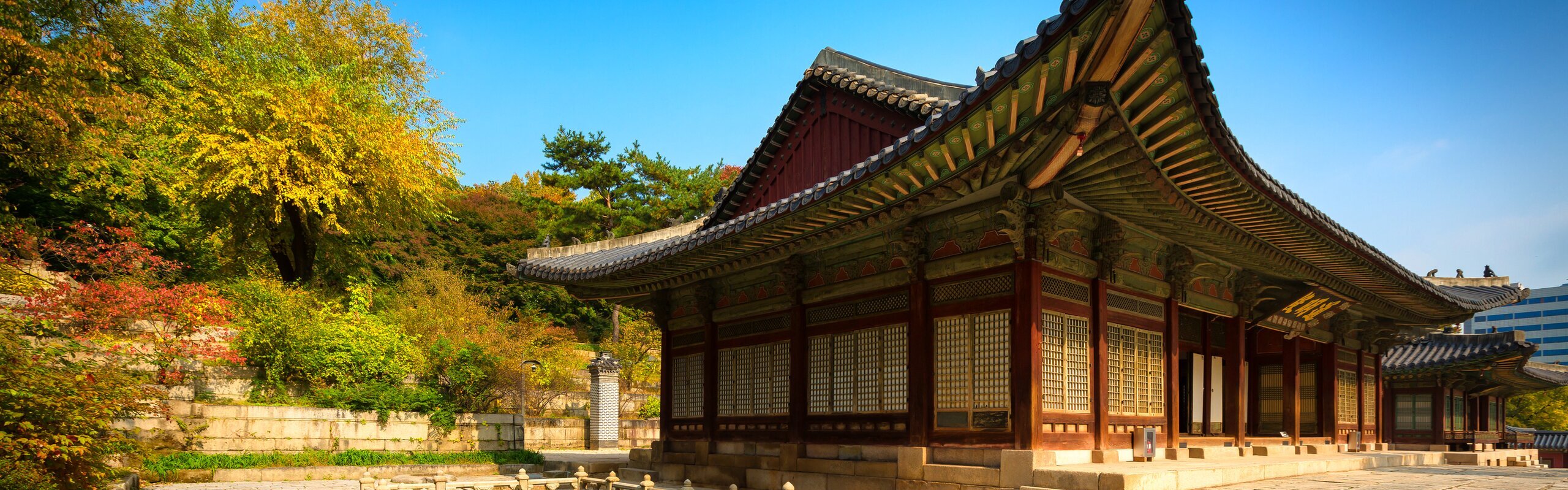 South Korea Weather in May 2025: Travel Tips for First-Timers