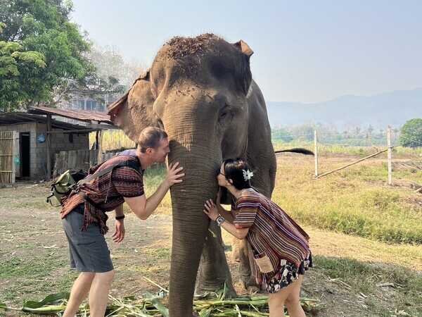 elephant experience