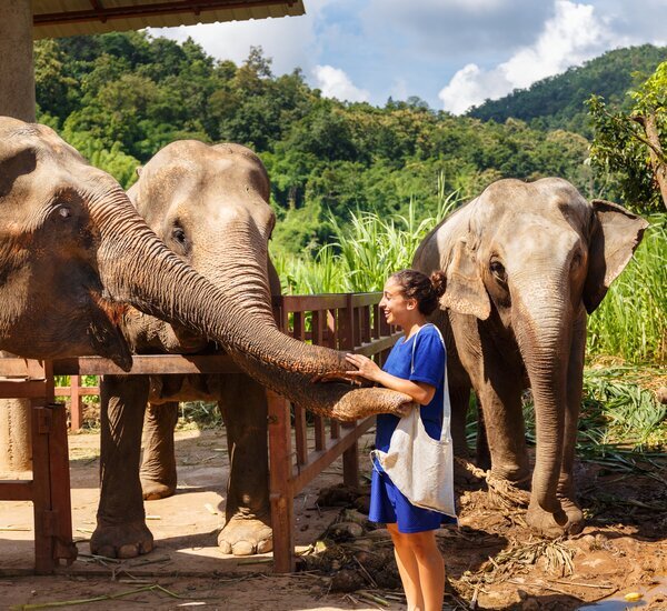 Thailand weather in december 2025 travel tips for first visitors