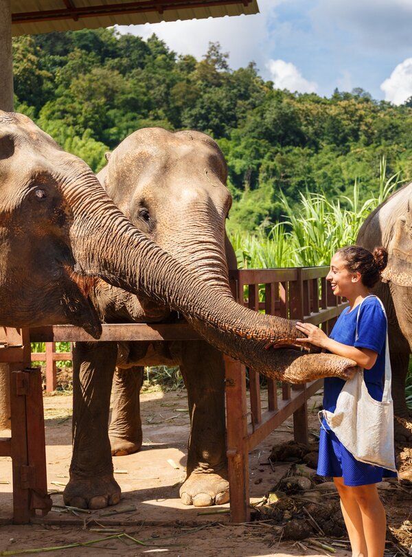 Thailand's Hidden Gems: Culture, Adventure & Beaches