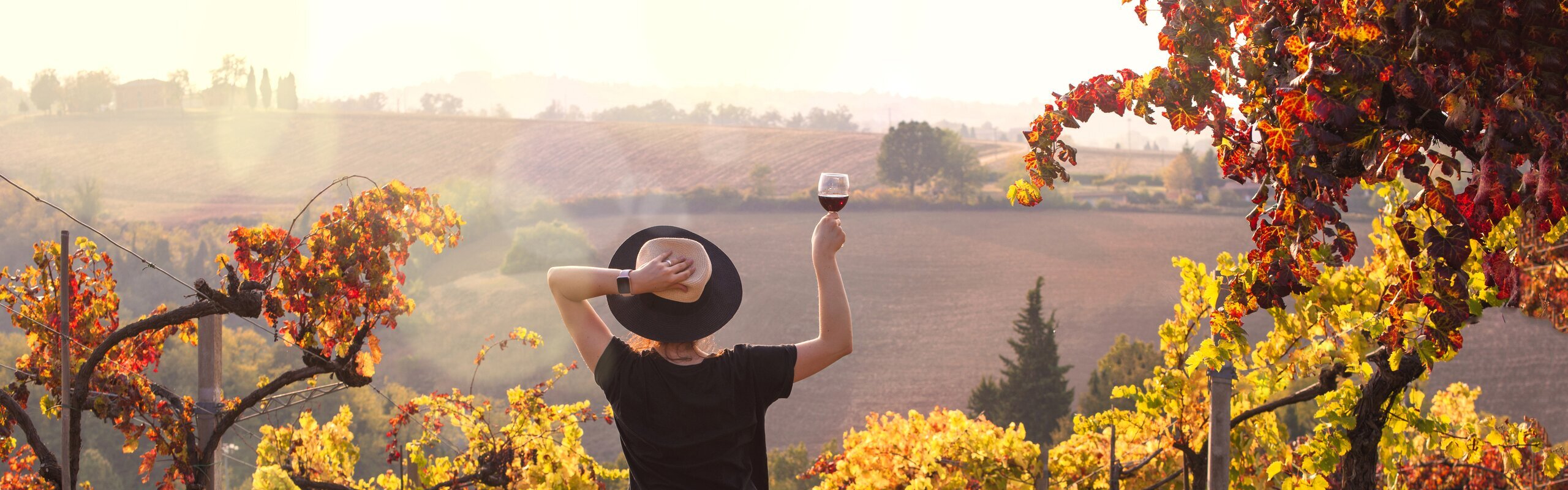 14-Day Best Italy Tour for Foodies & Wine Lovers
