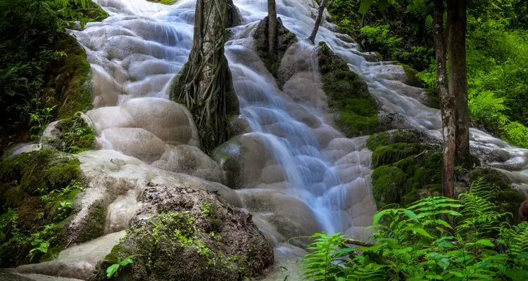 Witness monks descend for alms-giving at Doi Suthep