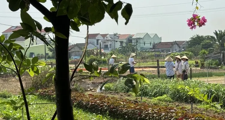 the magnificent King and Queen Pagodas at Doi Inthanon Mountain
