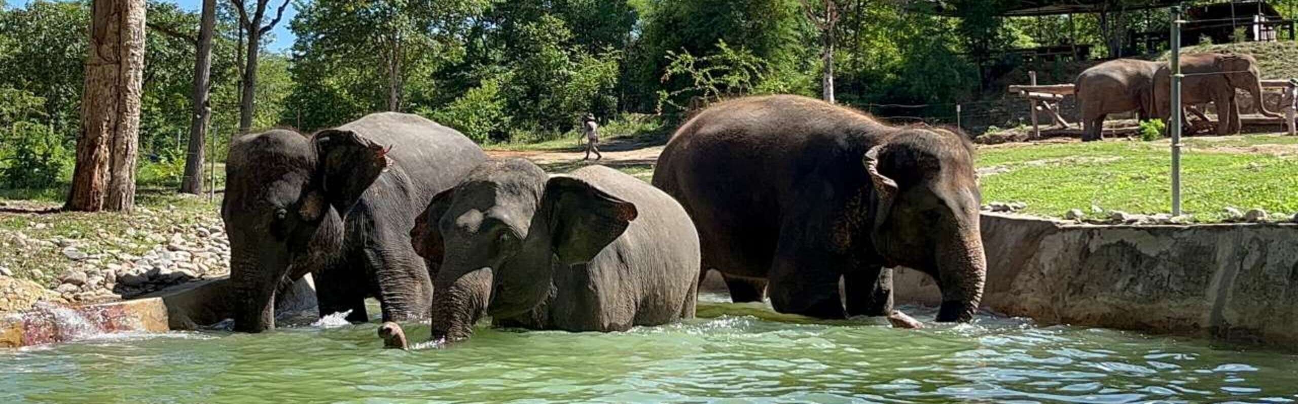 Chiang Mai in December 2025 [Weather, Festivals & Crowds?]