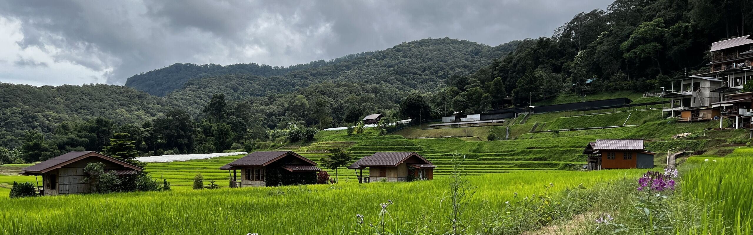 Chiang Mai Weather in October 2025: Things to Do, What to Wear