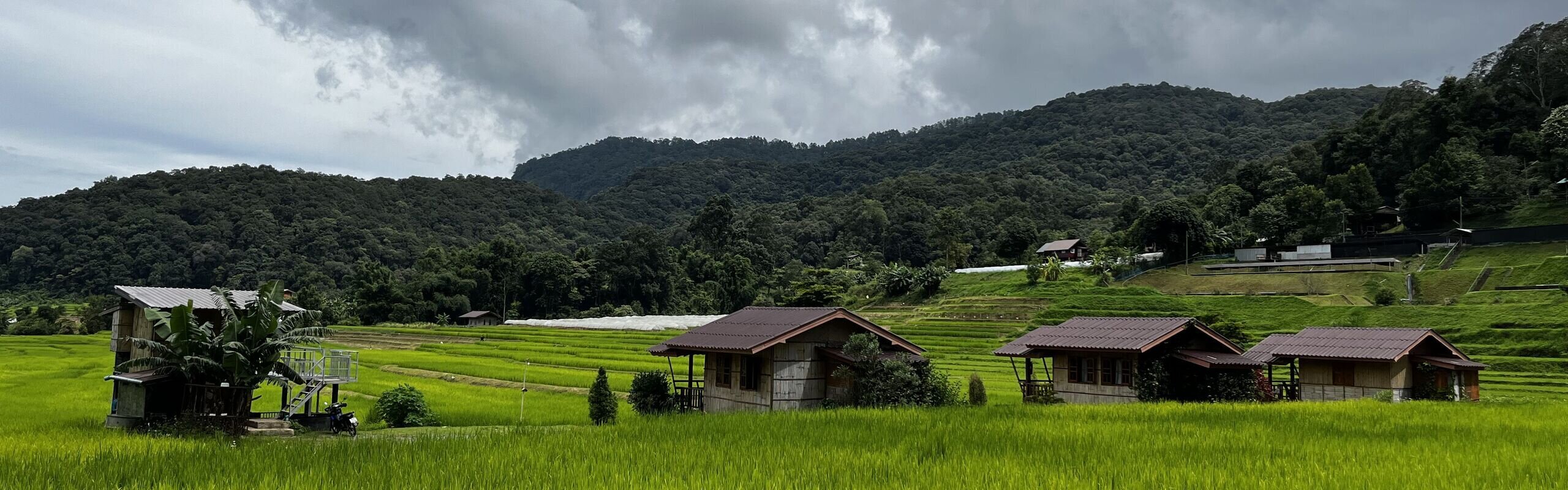 Thailand Rainy Season Travel Guide: When to Visit & What to Expect