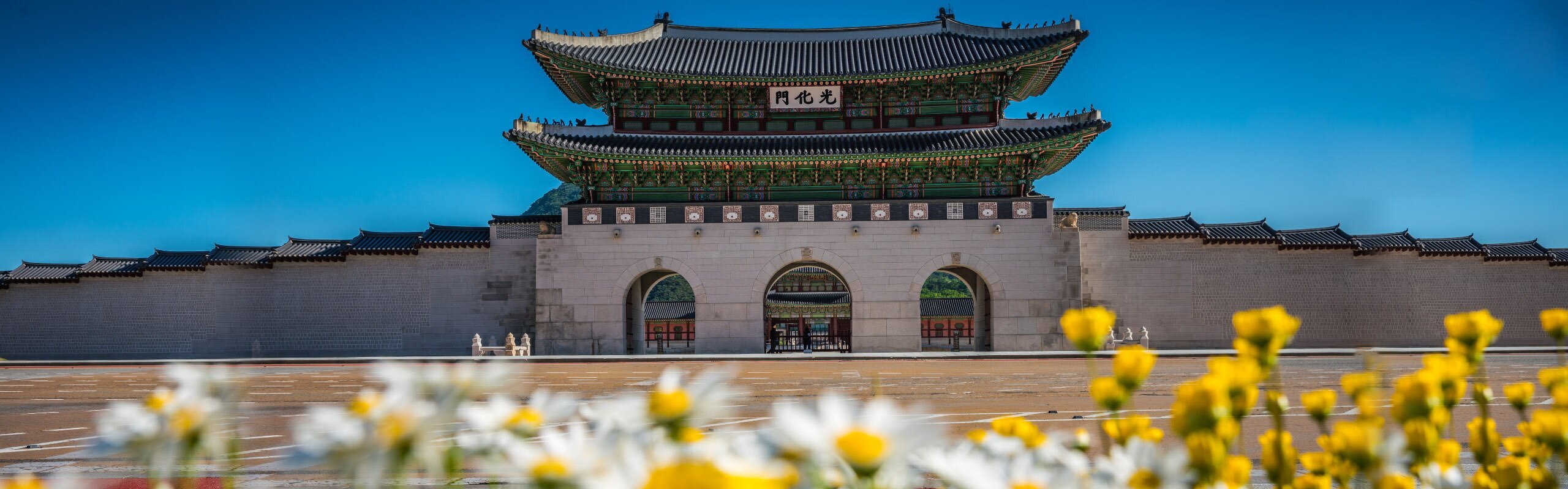 South Korea Private Tours 2025 (Customizable)