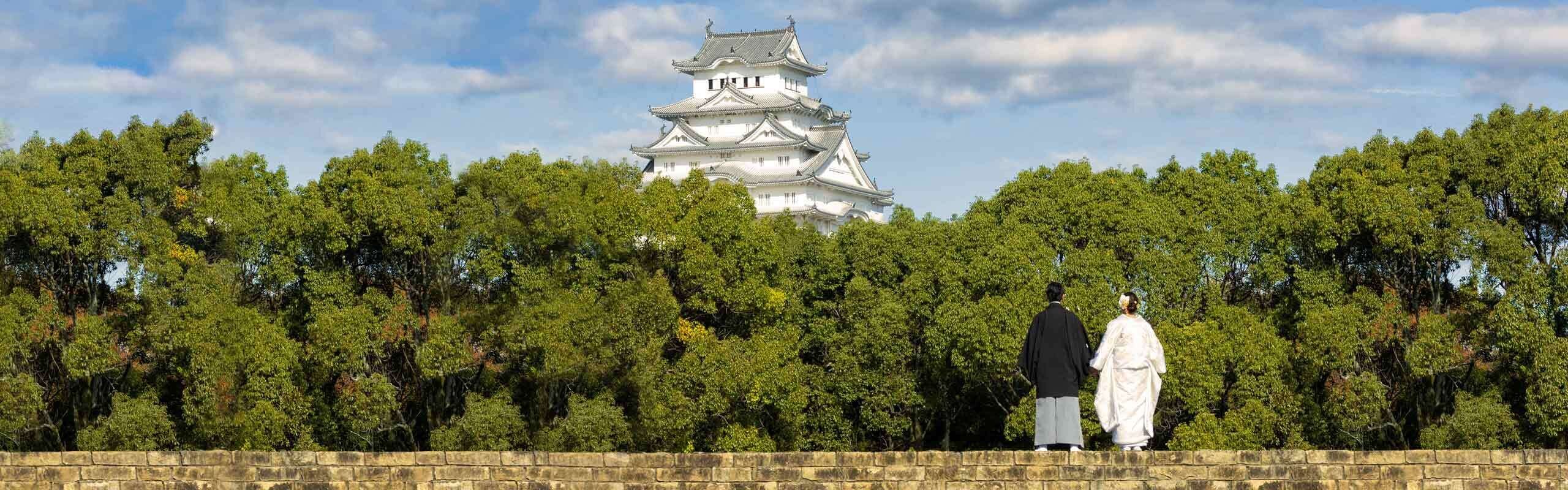 China and Japan Private Tours 2025/2026 (Customizable)