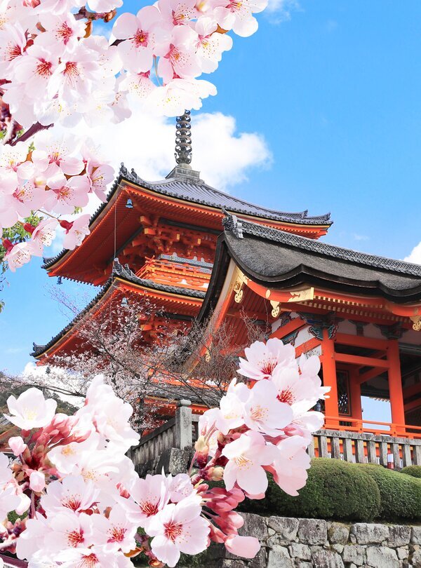 Charming Japan Cherry Blossom Tour
