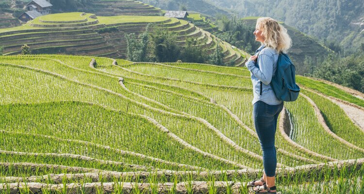 Reisterrassen im Juni in Sapa