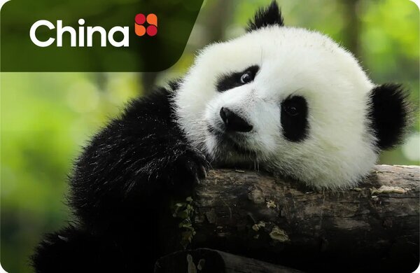 China Highlights