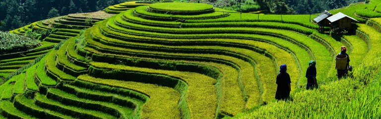 15-Day Vietnam Classic Tour with Sapa